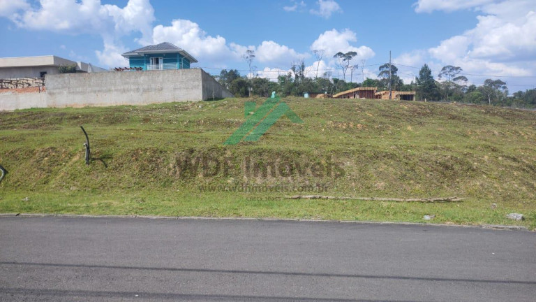 Imagem Terreno à Venda, 234 m² em Arruda - Colombo Imagem Terreno à Venda, 234 m² em Arruda - Colombo