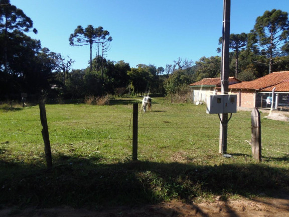 Imagem Terreno à Venda, 527 m² em Bateias - Campo Largo Imagem Terreno à Venda, 527 m² em Bateias - Campo Largo