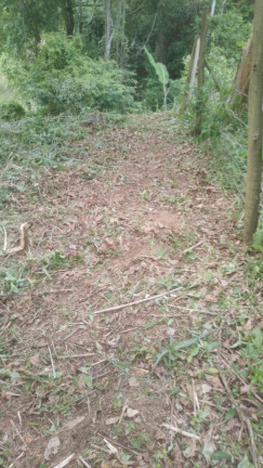 Imagem Terreno à Venda, 2.000 m² em Guaratiba - Rio De Janeiro