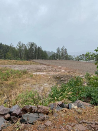 Imagem Terreno à Venda, 3.000 m² em Primavera - Concórdia Imagem Terreno à Venda, 3.000 m² em Primavera - Concórdia