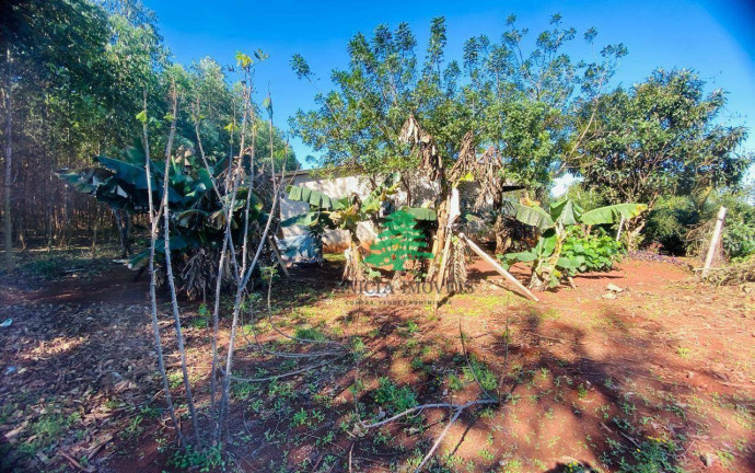 Imagem Chácara com 3 Quartos à Venda, 3.870 m² em Aparecidinha - Santa Terezinha De Itaipu Imagem Chácara com 3 Quartos à Venda, 3.870 m² em Aparecidinha - Santa Terezinha De Itaipu