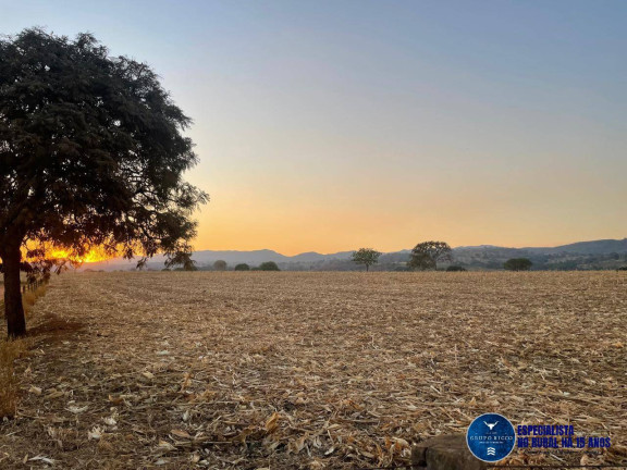 Imagem Fazenda à Venda, 29 m² em Zona Rural - Itaberaí Imagem Fazenda à Venda, 29 m² em Zona Rural - Itaberaí