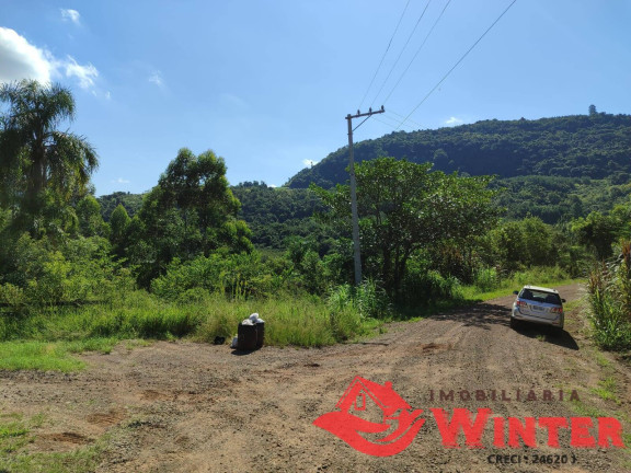 Imagem Chácara à Venda, 5 m² em Canto Lippert - Linha Nova Imagem Chácara à Venda, 5 m² em Canto Lippert - Linha Nova