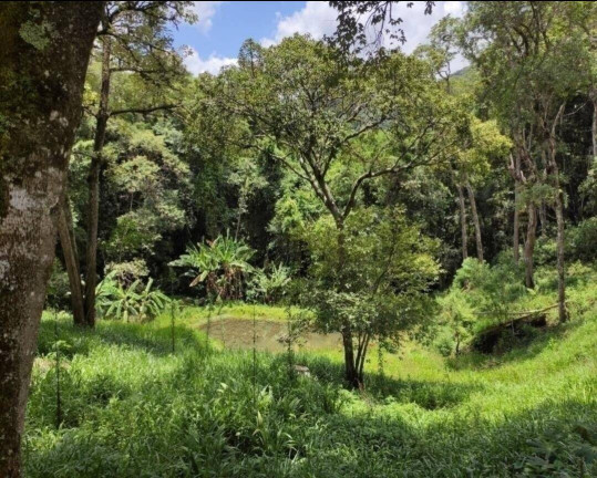 Imagem Chácara com 3 Quartos à Venda, 48.000 m² em Portão - Atibaia Imagem Chácara com 3 Quartos à Venda, 48.000 m² em Portão - Atibaia