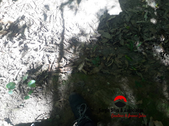 Imagem Terreno à Venda, 1 m² em Campos Do Jordão Imagem Terreno à Venda, 1 m² em Campos Do Jordão