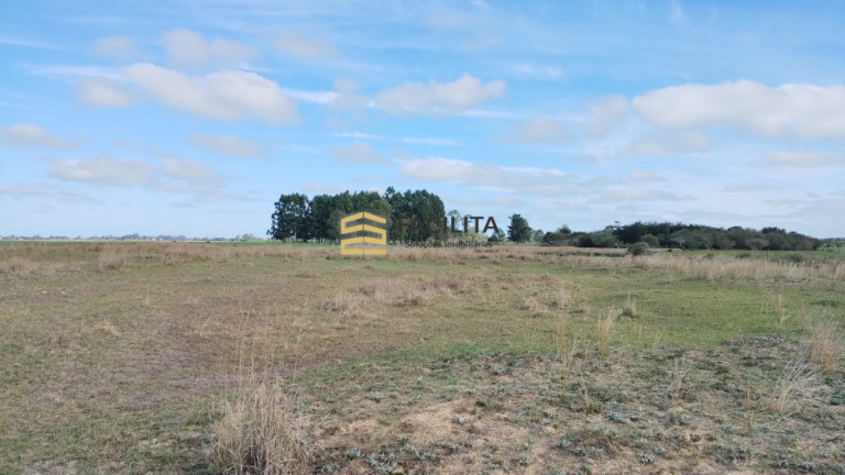 Imagem Imóvel com 2 Quartos à Venda, 470.000 m² em Quinta - Rio Grande Imagem Imóvel com 2 Quartos à Venda, 470.000 m² em Quinta - Rio Grande