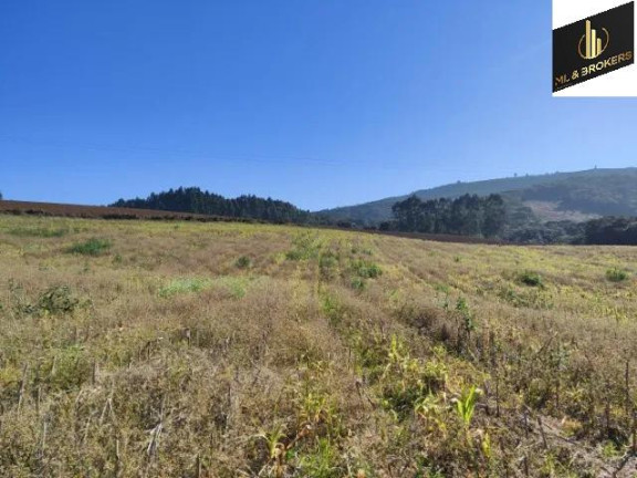 Imagem Imóvel com 2 Quartos à Venda, 20.000 m² em Zona Rural - Balsa Nova Imagem Imóvel com 2 Quartos à Venda, 20.000 m² em Zona Rural - Balsa Nova