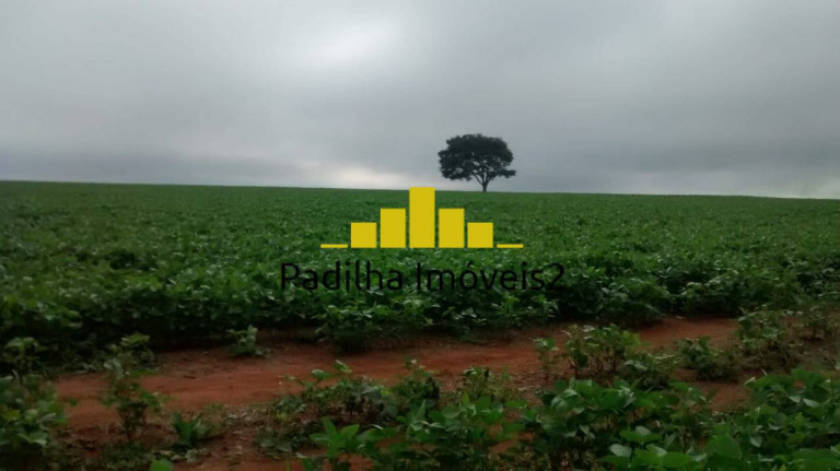 Imagem Chácara à Venda, 365 m² em Itapetininga Imagem Chácara à Venda, 365 m² em Itapetininga