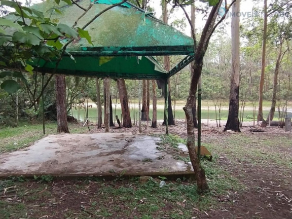 Imagem Chácara com 5 Quartos à Venda, 6 m² em Jardim Las Palmas - São Bernardo Do Campo