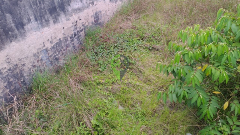 Imagem Terreno para Alugar, 500 m² em Encruzilhada - Santos Imagem Terreno para Alugar, 500 m² em Encruzilhada - Santos