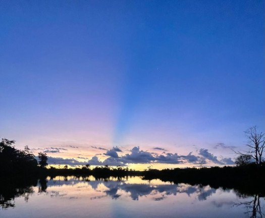Imagem Fazenda à Venda, 3.100 m² em Rural - Porto Alegre Do Norte