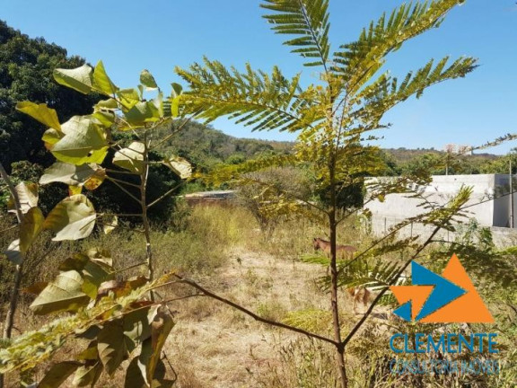 Imagem Terreno à Venda, 1.150 m² em Centro - Lagoa Santa Imagem Terreno à Venda, 1.150 m² em Centro - Lagoa Santa