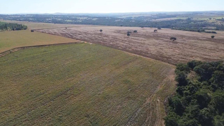 Imagem Chácara à Venda, 10 m² em Zona Rural - Bela Vista De Goiás Imagem Chácara à Venda, 10 m² em Zona Rural - Bela Vista De Goiás