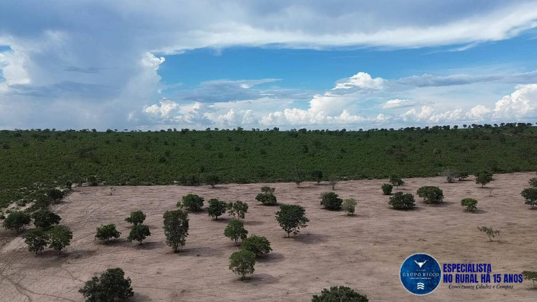 Imagem Fazenda à Venda, 1 m² em Zona Rural - Novo São Joaquim Imagem Fazenda à Venda, 1 m² em Zona Rural - Novo São Joaquim