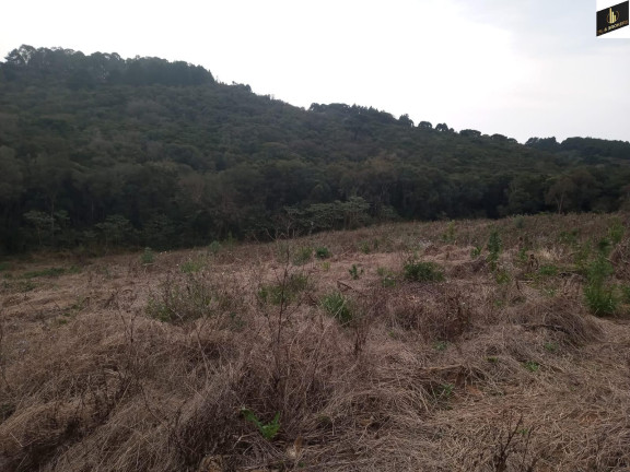 Imagem Imóvel à Venda, 96.800 m² em Colonia Marcelino - São José Dos Pinhais Imagem Imóvel à Venda, 96.800 m² em Colonia Marcelino - São José Dos Pinhais