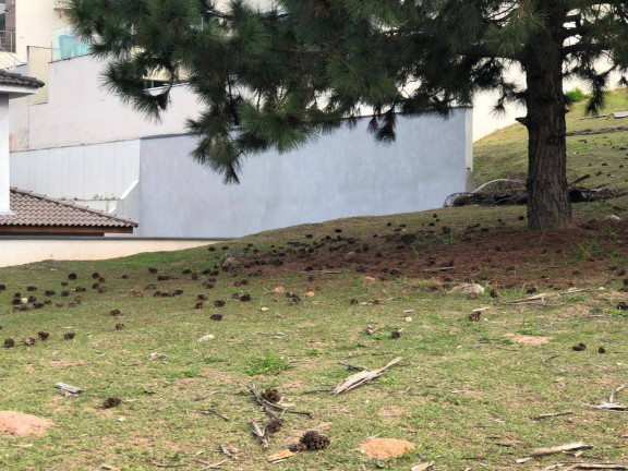 Terreno à Venda, 523 m² em Centro Comercial Jubran - Barueri