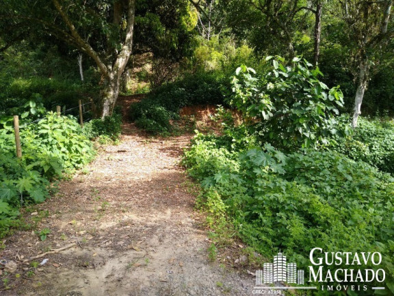 Imagem Terreno à Venda, 19.200 m² em Roma - Volta Redonda