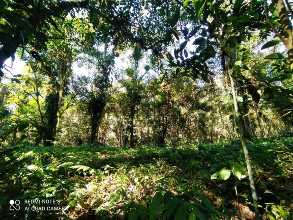 Imagem Chácara à Venda, 1.000 m² em Parque Novaro Itanhaém - Itanhaém