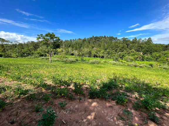Imagem Chácara à Venda, 2 m² em Morungava - Gravataí Imagem Chácara à Venda, 2 m² em Morungava - Gravataí