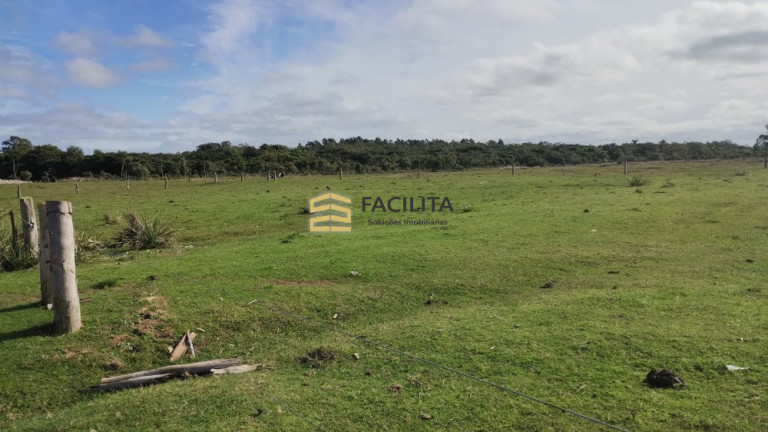 Imagem Imóvel com 2 Quartos à Venda, 470.000 m² em Quinta - Rio Grande Imagem Imóvel com 2 Quartos à Venda, 470.000 m² em Quinta - Rio Grande