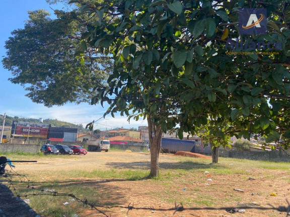 Imagem Imóvel à Venda ou Locação, 3.493 m² em Santo Antônio - Louveira