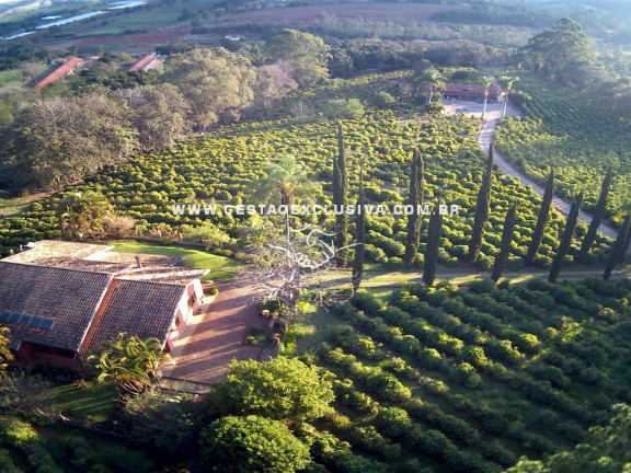Imagem Chácara com 6 Quartos à Venda, 48.400 m² em Zona Rural - Morungaba Imagem Chácara com 6 Quartos à Venda, 48.400 m² em Zona Rural - Morungaba