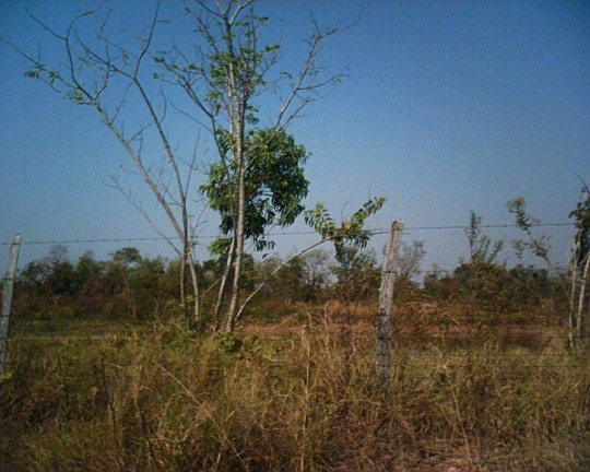 Imagem Terreno à Venda, 15.047 m² em Parque Atalaia - Cuiabá Imagem Terreno à Venda, 15.047 m² em Parque Atalaia - Cuiabá