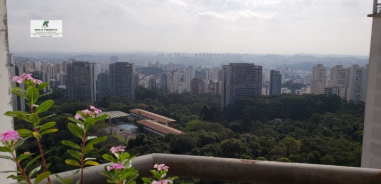 Cobertura com 3 Quartos à Venda, 268 m² em Morumbi - São Paulo