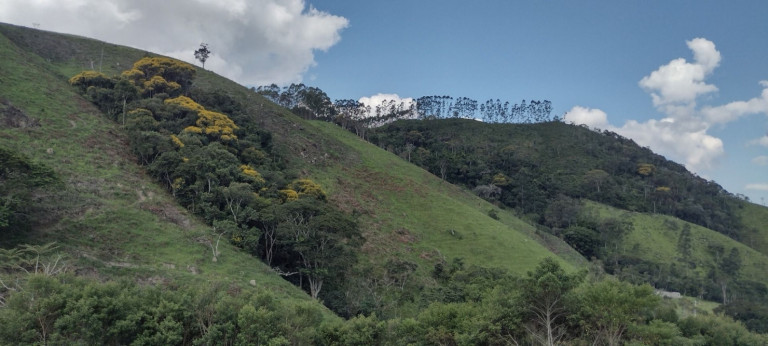 Imagem Chácara com 2 Quartos à Venda, 100 m² em Centro - Natividade Da Serra Imagem Chácara com 2 Quartos à Venda, 100 m² em Centro - Natividade Da Serra