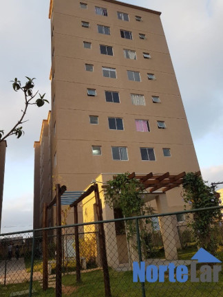 Imagem Apartamento com 2 Quartos à Venda, 41 m² em Jardim Das Graças - São Paulo Imagem Apartamento com 2 Quartos à Venda, 41 m² em Jardim Das Graças - São Paulo
