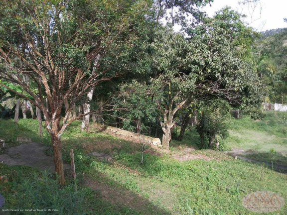Imagem Imóvel com 3 Quartos à Venda, 53.776 m² em Parateí Do Meio - Jacareí Imagem Imóvel com 3 Quartos à Venda, 53.776 m² em Parateí Do Meio - Jacareí