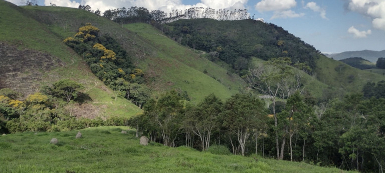 Imagem Chácara com 2 Quartos à Venda, 100 m² em Centro - Natividade Da Serra Imagem Chácara com 2 Quartos à Venda, 100 m² em Centro - Natividade Da Serra