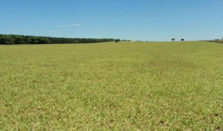 Imagem Fazenda à Venda, 98 m² em Serra De Botucatu - Bofete Imagem Fazenda à Venda, 98 m² em Serra De Botucatu - Bofete