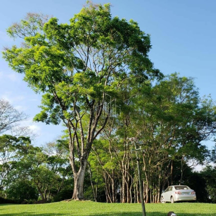 Imagem Imóvel com 4 Quartos à Venda, 2.000 m² em Jardim Europa Ii - Avaré Imagem Imóvel com 4 Quartos à Venda, 2.000 m² em Jardim Europa Ii - Avaré