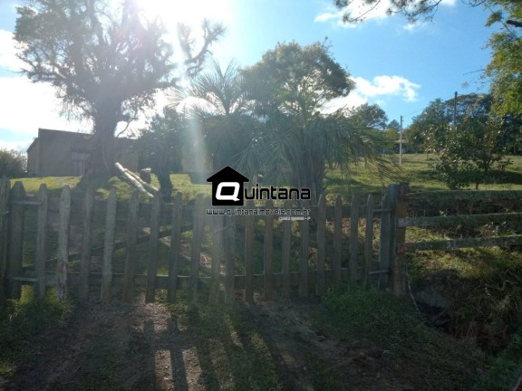 Imagem Imóvel com 4 Quartos à Venda, 80.000 m² em Colônia Santa Maria - Pelotas Imagem Imóvel com 4 Quartos à Venda, 80.000 m² em Colônia Santa Maria - Pelotas