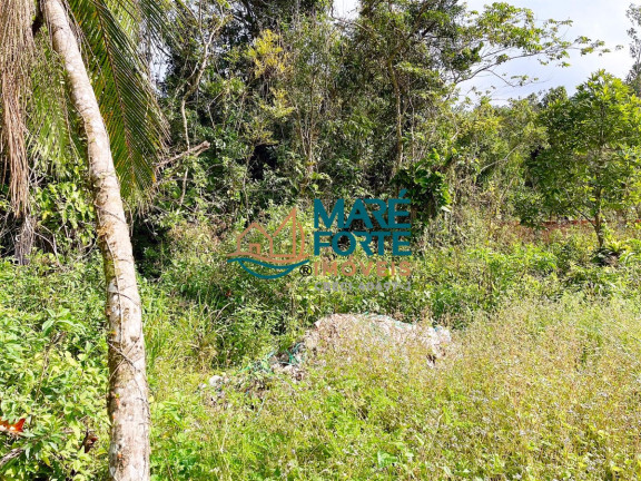 Imagem Terreno à Venda, 375 m² em Maranduba - Ubatuba Imagem Terreno à Venda, 375 m² em Maranduba - Ubatuba