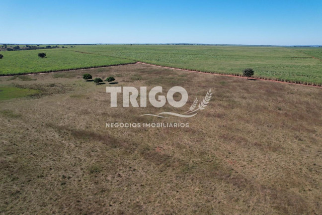 Imagem Fazenda à Venda, 72 m² em Zona Rural - Quirinópolis Imagem Fazenda à Venda, 72 m² em Zona Rural - Quirinópolis