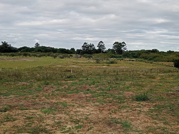 Imagem Chácara com 2 Quartos à Venda, 20.000 m² em águas Claras - Viamão Imagem Chácara com 2 Quartos à Venda, 20.000 m² em águas Claras - Viamão
