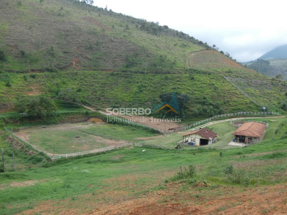 Imagem Imóvel com 2 Quartos à Venda, 145.000 m² em Imbiu - Teresópolis Imagem Imóvel com 2 Quartos à Venda, 145.000 m² em Imbiu - Teresópolis