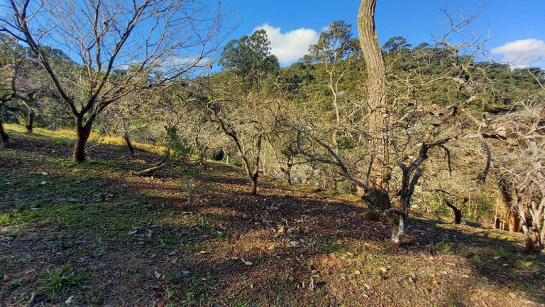 Imagem Chácara com 4 Quartos à Venda, 23 m² em Braunes - Nova Friburgo Imagem Chácara com 4 Quartos à Venda, 23 m² em Braunes - Nova Friburgo