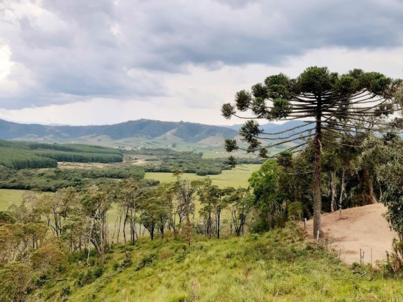 Imagem Imóvel à Venda, 28.900 m² em Zona Rural - Bom Retiro Imagem Imóvel à Venda, 28.900 m² em Zona Rural - Bom Retiro