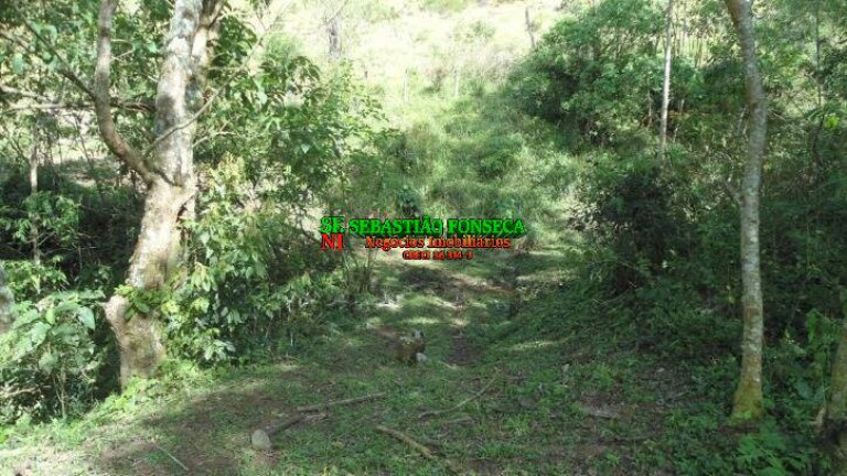 Imagem Chácara à Venda, 72.600 m² em São Francisco Xavier - São José Dos Campos Imagem Chácara à Venda, 72.600 m² em São Francisco Xavier - São José Dos Campos