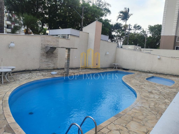 Imagem Apartamento com 2 Quartos à Venda, 58 m² em Palmeiras De São José - São José Dos Campos Imagem Apartamento com 2 Quartos à Venda, 58 m² em Palmeiras De São José - São José Dos Campos