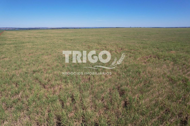 Imagem Fazenda à Venda, 72 m² em Zona Rural - Quirinópolis Imagem Fazenda à Venda, 72 m² em Zona Rural - Quirinópolis
