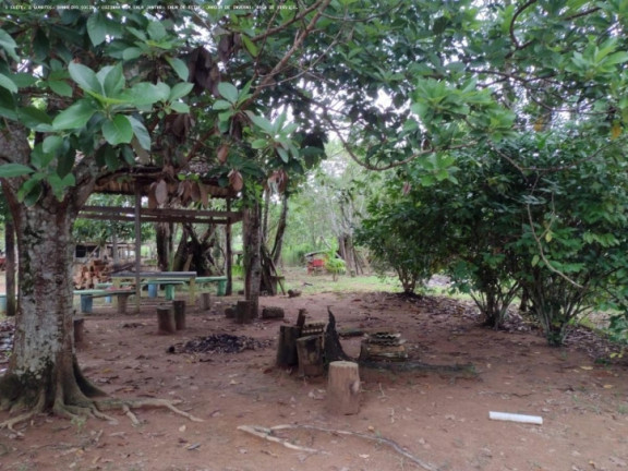Imagem Chácara à Venda, 5.000 m² em Areia Branca - Porto Velho Imagem Chácara à Venda, 5.000 m² em Areia Branca - Porto Velho