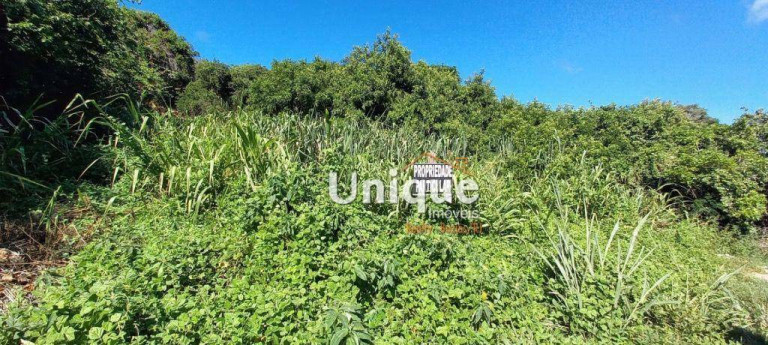 Imagem Terreno à Venda, 1.000 m² em Ferradura - Armação Dos Búzios Imagem Terreno à Venda, 1.000 m² em Ferradura - Armação Dos Búzios