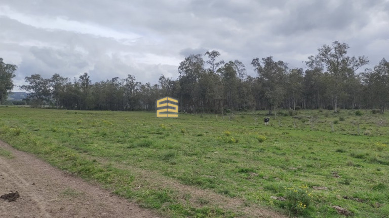 Imagem Imóvel com 3 Quartos à Venda, 660.000 m² em Hidráulica - Capão Do Leão Imagem Imóvel com 3 Quartos à Venda, 660.000 m² em Hidráulica - Capão Do Leão