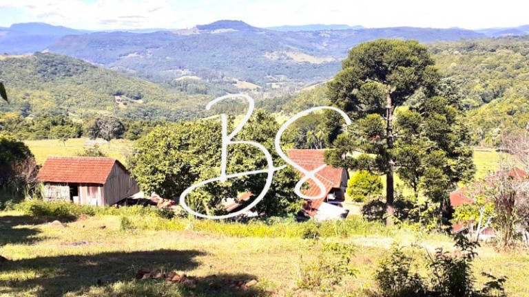 Imagem Imóvel com 2 Quartos à Venda, 37.632 m² em Nova Aurora - Igrejinha Imagem Imóvel com 2 Quartos à Venda, 37.632 m² em Nova Aurora - Igrejinha