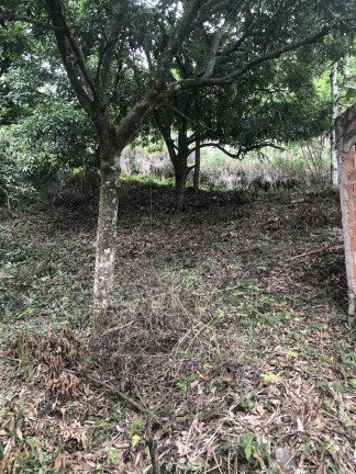 Imagem Imóvel à Venda, 1.200 m² em Campo Grande - Rio De Janeiro Imagem Imóvel à Venda, 1.200 m² em Campo Grande - Rio De Janeiro
