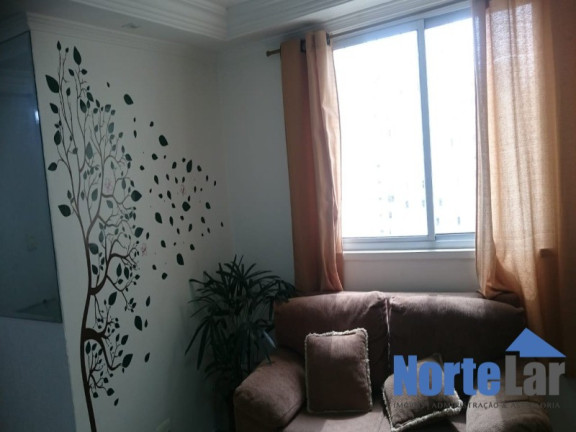 Imagem Apartamento com 2 Quartos à Venda, 50 m² em Vila Nova Cachoeirinha - São Paulo Imagem Apartamento com 2 Quartos à Venda, 50 m² em Vila Nova Cachoeirinha - São Paulo